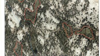 Scorecard with transects