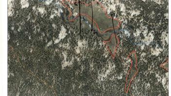 Scorecard with transects