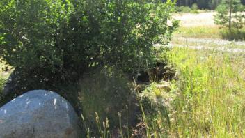 Scour Below Culvert at Road Crossing