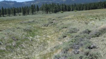 Second channel, at upper transect, looking upstream