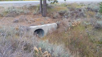 Short gully above upper culvert, looking at culvert