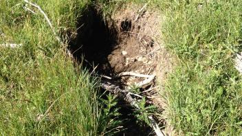 Small headcut, 2 feet tall, middle meadow