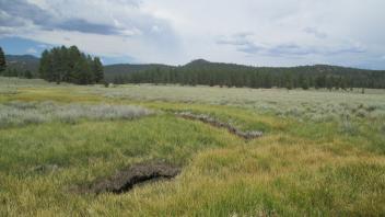 South meadow, channels join