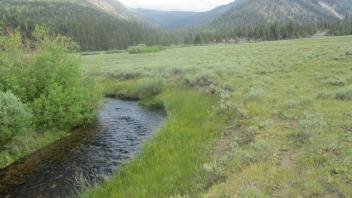 Start of inset floodplain