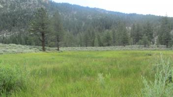 Start of lower transect looking east