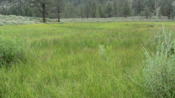 Start of lower transect looking east