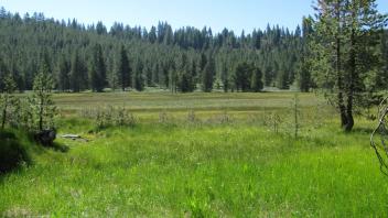 Start of lower transect looking south