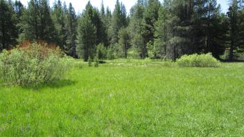 Start of lower transect looking south