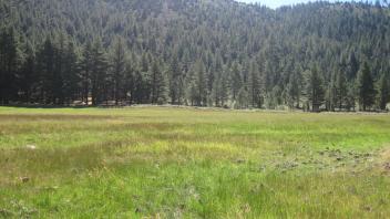 Start of lower transect, looking east