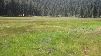 Start of lower transect, looking east