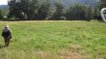 Start of lower transect, looking east