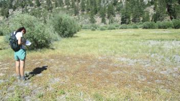 Start of lower transect, looking east