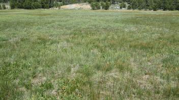 Start of lower transect, looking east