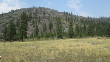 Start of lower transect, looking northeast