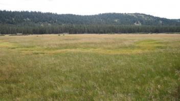 Start of lower transect, looking southeast