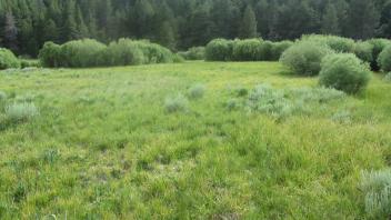 Start of lower transect, looking southwest