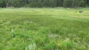 Start of lower transect, looking southwest
