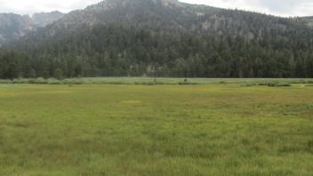 Start of lower transect, looking west