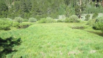 Start of lower transect, looking west