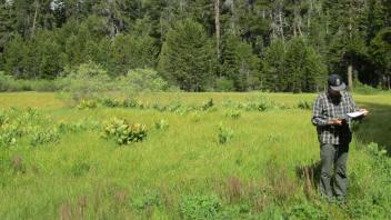 Start of lower transect, looking west