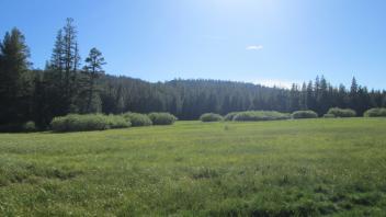Start of lower transect, looking west