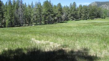Start of lower transect, looking west