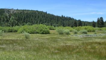 Start of lower transect, looking west