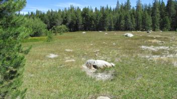 Start of lower transect, northeast