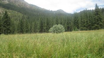 Start of middle transect looking north
