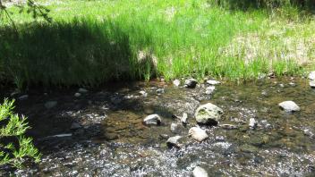 Start of middle transect with channel, left bank to right bank