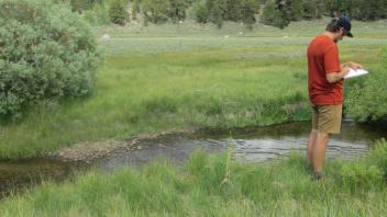 Start of middle transect, looking east with channel