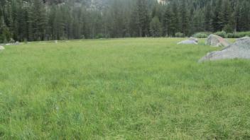 Start of middle transect, looking east