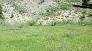 Start of middle transect, looking east