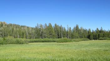 Start of middle transect, looking east