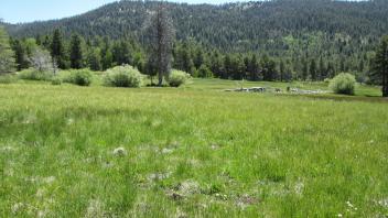 Start of middle transect, looking east