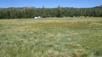 Start of middle transect, looking east