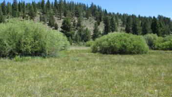 Start of middle transect, looking east