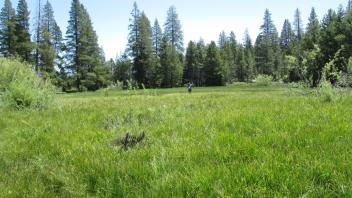 Start of middle transect, looking east