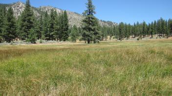 Start of middle transect, looking north