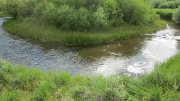 Start of middle transect, looking northeast