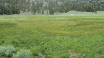 Start of middle transect, looking northeast