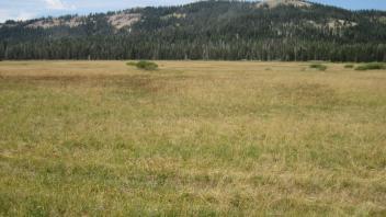 Start of middle transect, looking northwest