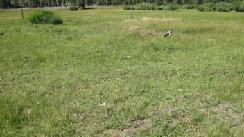 Start of middle transect, looking southeast