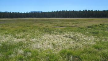 Start of middle transect, looking southwest