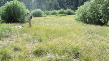 Start of middle transect, looking west