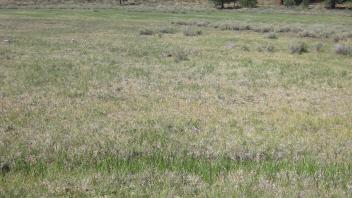 Start of middle transect, looking west