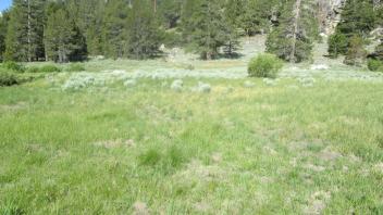 Start of middle transect, looking west