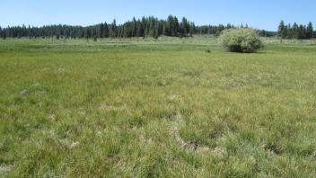 Start of middle transect, looking west