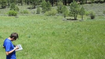 Start of middle transect, looking west