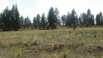 Start of second upper transect with channel, right bank to left